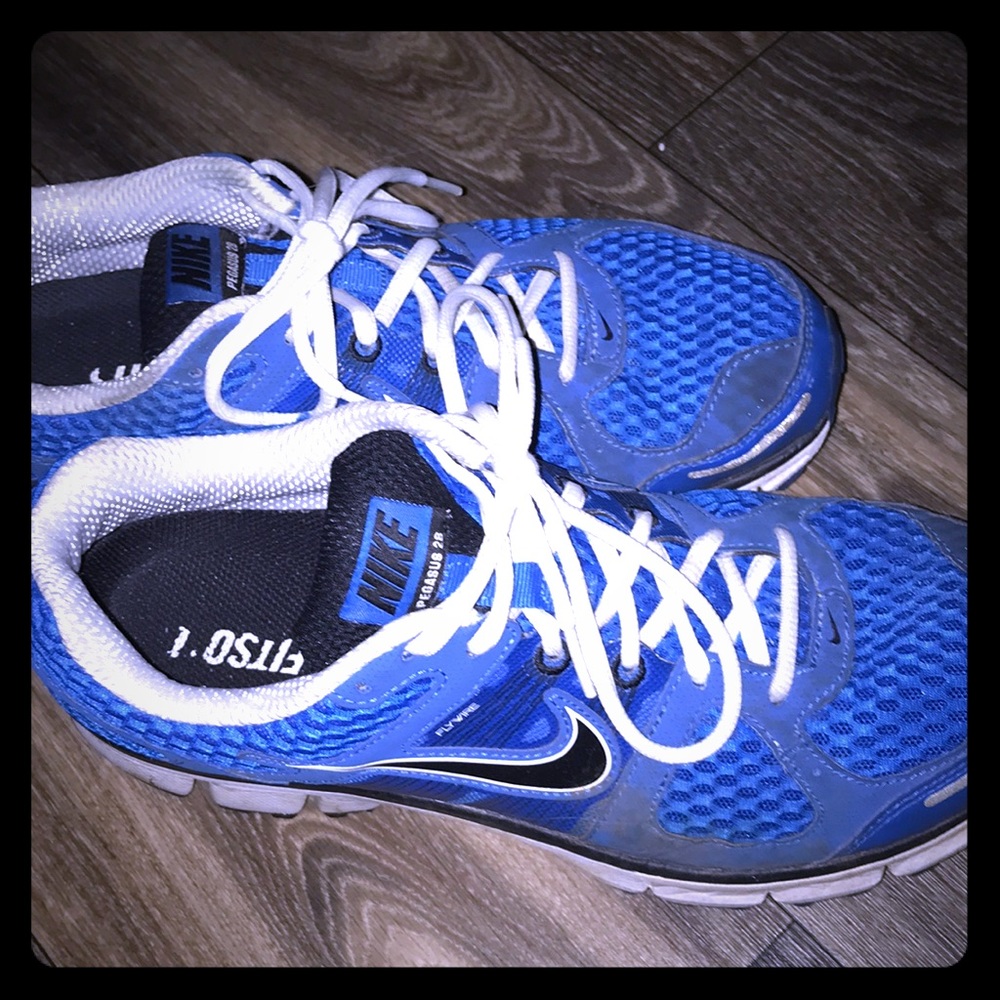 Nike Air Pegasus 2